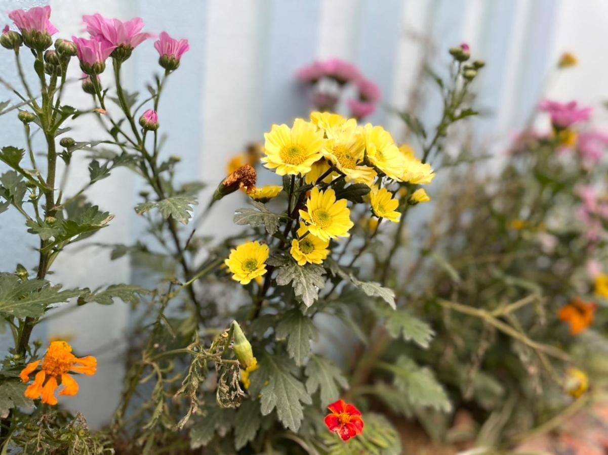 An Bungalow - Mai Chau Βίλα Hòa Bình Εξωτερικό φωτογραφία
